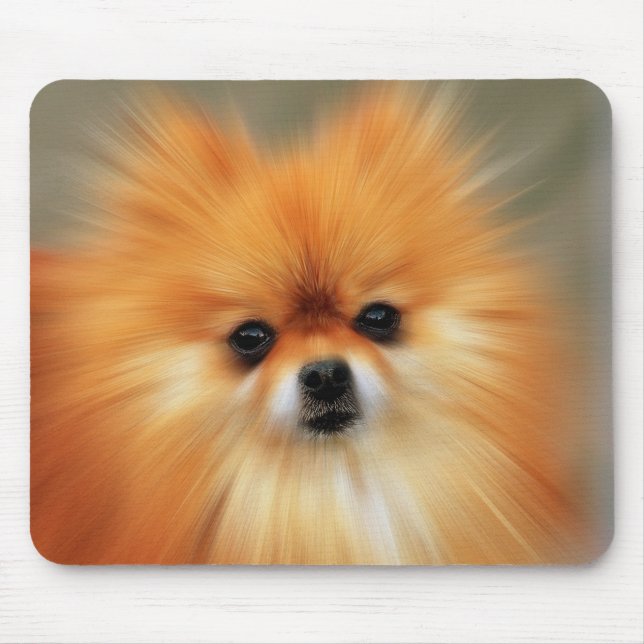 Pomeranian Photography Zoom Speed Art Portrait Mouse Mat (Front)
