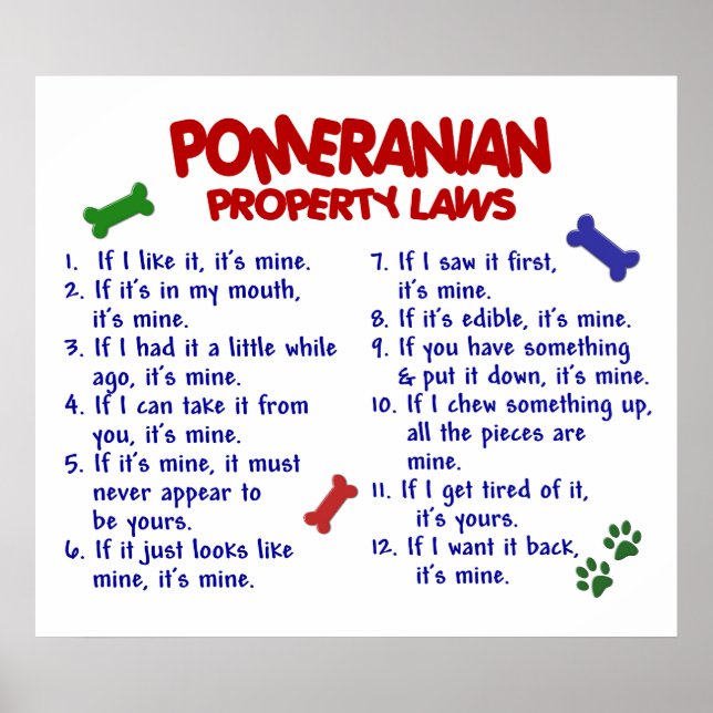 POMERANIAN PL2 POSTER (Front)