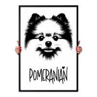Pomeranian Pop Art Black & White Chic Aesthetic