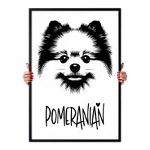 Pomeranian Pop Art Black & White Chic Aesthetic