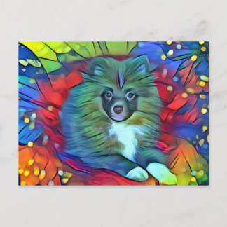 Pomeranian Post Card