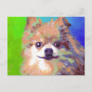 Pomeranian Postcard