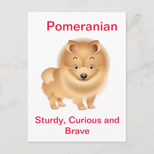 Pomeranian Postcard (Front)