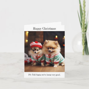 Pomeranian Puppies Christmas Card