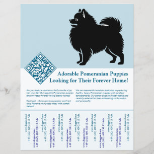 Pomeranian Puppies  Flyer