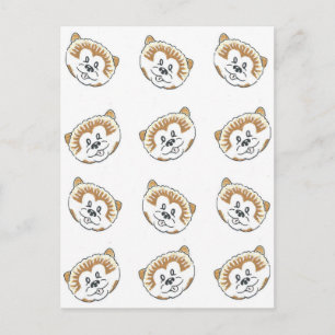 Pomeranian Puppies Postcard