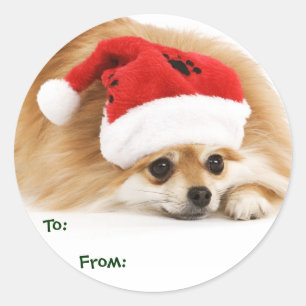 Pomeranian Puppy Gift Tags