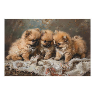 Pomeranian Puppy Trio Vintage Photo Print