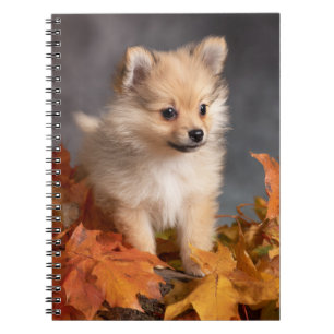 Pomeranian Puppy with Autumn Leaves Spiral Notebook