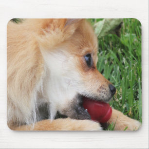  Pomeranian Puppy with Ball Mouse Mat