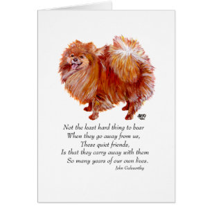 Pomeranian Rainbow Bridge