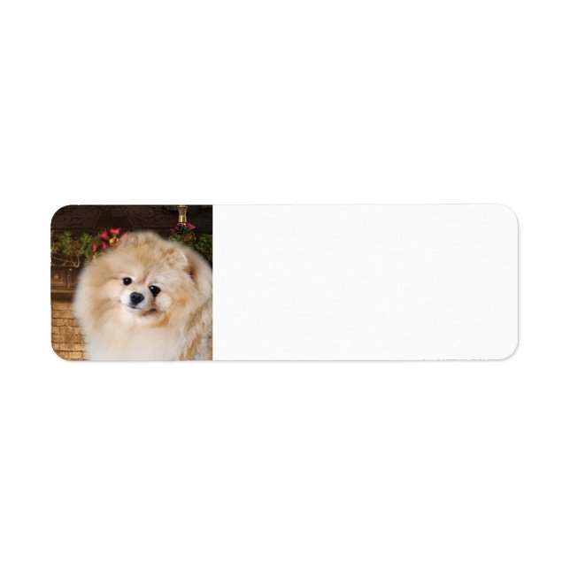 Pomeranian Return Address Labels (Front)