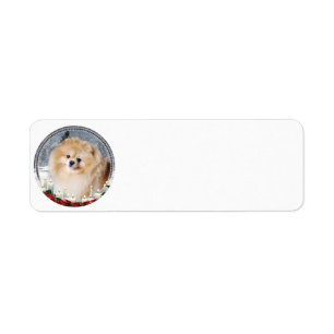 Pomeranian Return Address Labels
