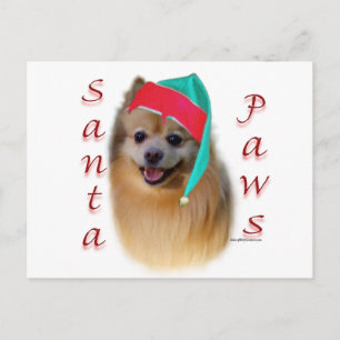 Pomeranian Santa Paws Holiday Postcard