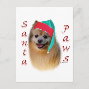 Pomeranian Santa Paws Holiday Postcard
