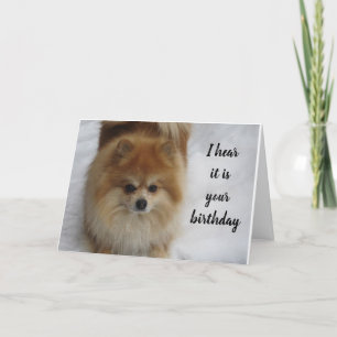 POMERANIAN SAYS NOT **50** EVERY YEAR CELEBRATE CARD