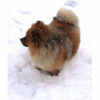 POMERANIAN SCULPTURE MAGNET PHOTO SCULPTURE MAGNET