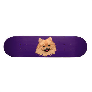 Pomeranian Skateboard