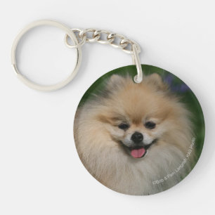 Pomeranian Smiling Key Ring