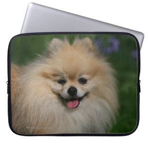 Pomeranian Smiling Laptop Sleeve