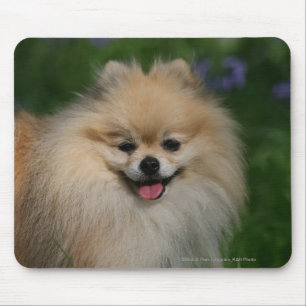 Pomeranian Smiling Mouse Mat