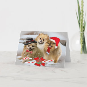 Pomeranian Snow Scene Christmas Card