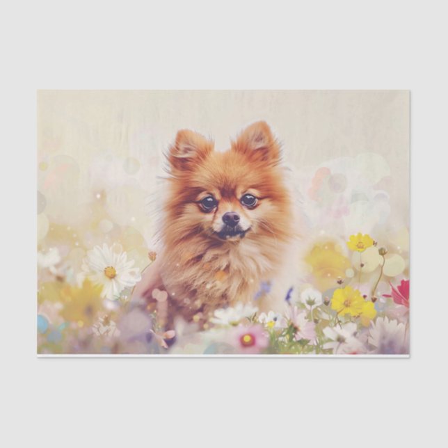 Pomeranian Spring Wildflowers Decoupage Tissue Paper (Front)