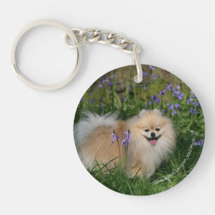 Pomeranian Standing Looking at Camera Key Ring