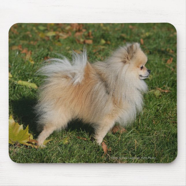 Pomeranian Standing Mouse Mat (Front)