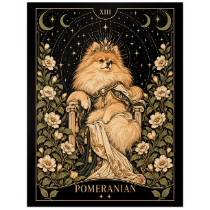 Pomeranian, Starlit Tarot Art Postcard
