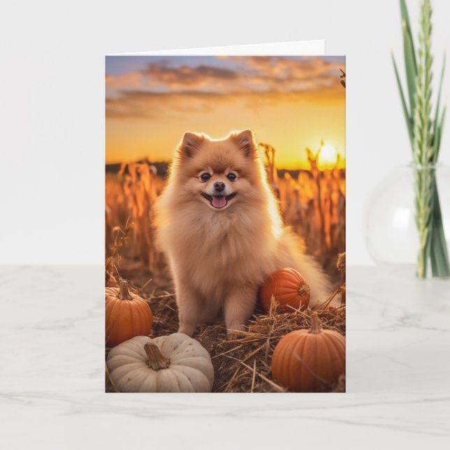 Pomeranian Thanksgiving Holiday Card (Front)