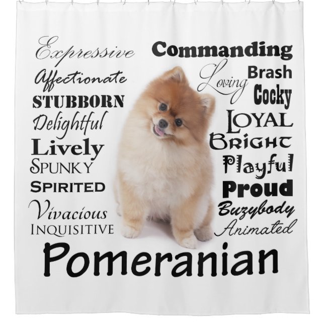 Pomeranian Traits Shower Curtain (Front)