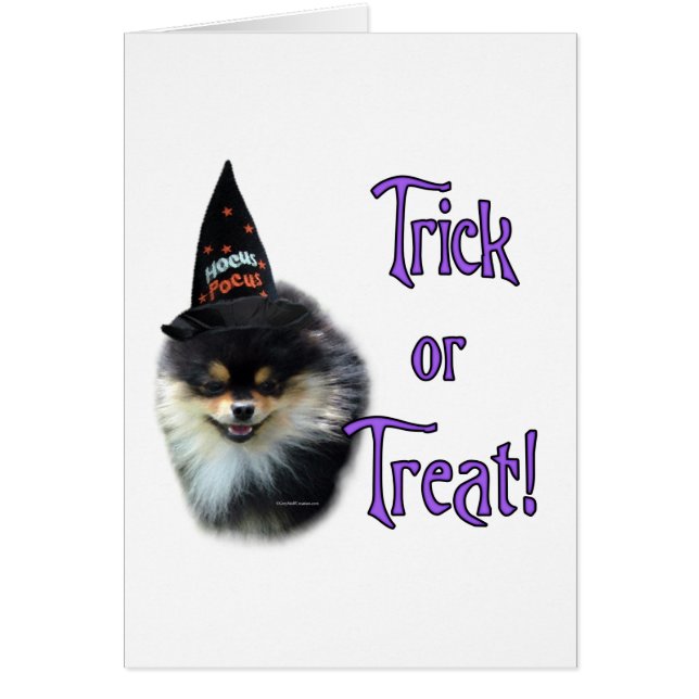 Pomeranian Trick (Front)
