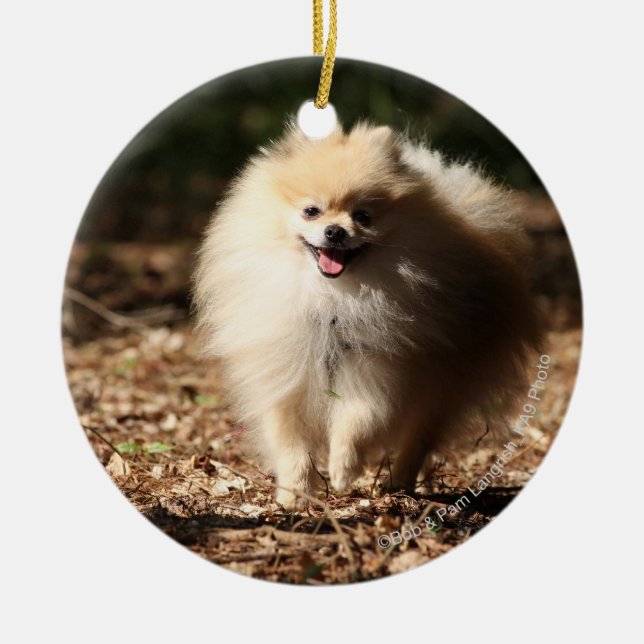 Pomeranian Trotting in the Fallen Leaves Ceramic Tree Decoration (Front)