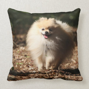 Pomeranian Trotting in the Fallen Leaves Cushion