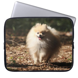 Pomeranian Trotting in the Fallen Leaves Laptop Sleeve