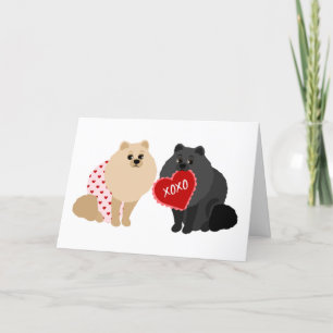 Pomeranian Valentine's Day Holiday Card