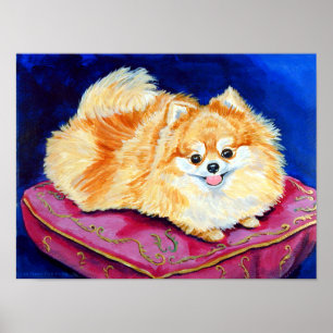 Pomeranian Wall Print Poster