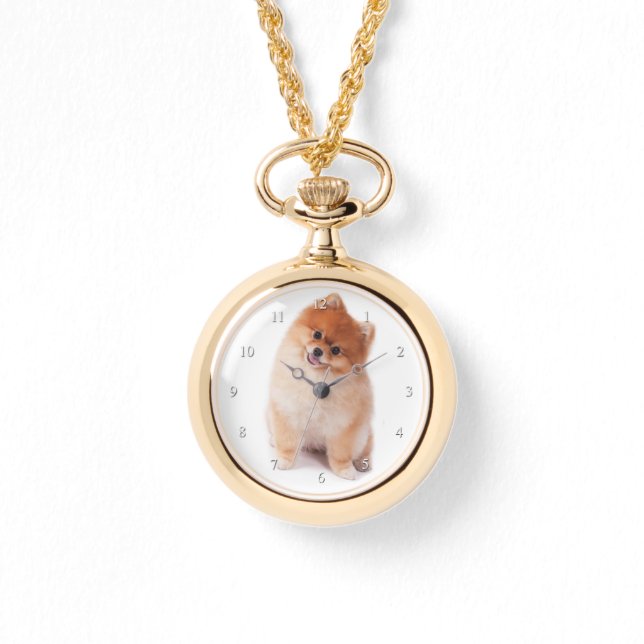 Pomeranian Watch (Front)
