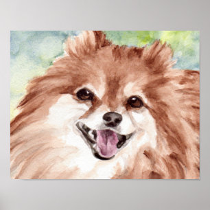 Pomeranian Watercolor Print