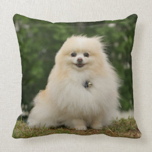 Pomeraning Sitting Cushion