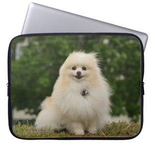 Pomeraning Sitting Laptop Sleeve