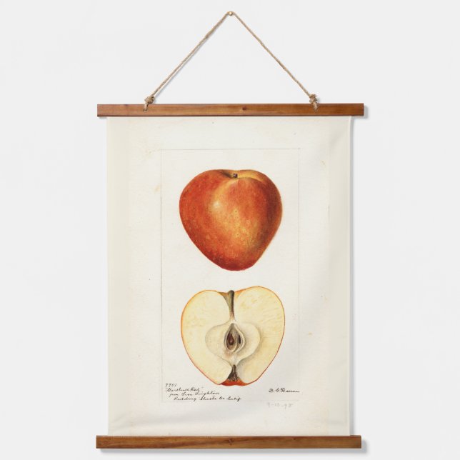 Pomological Watercolor Marshall Red Scrapbook Page Hanging Tapestry (Front)