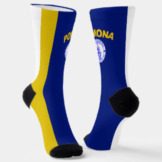 Pomona (California) city flag Socks