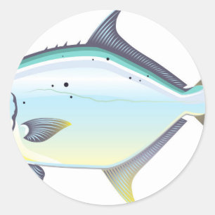 Pompano Florida fish vector illustration Classic Round Sticker