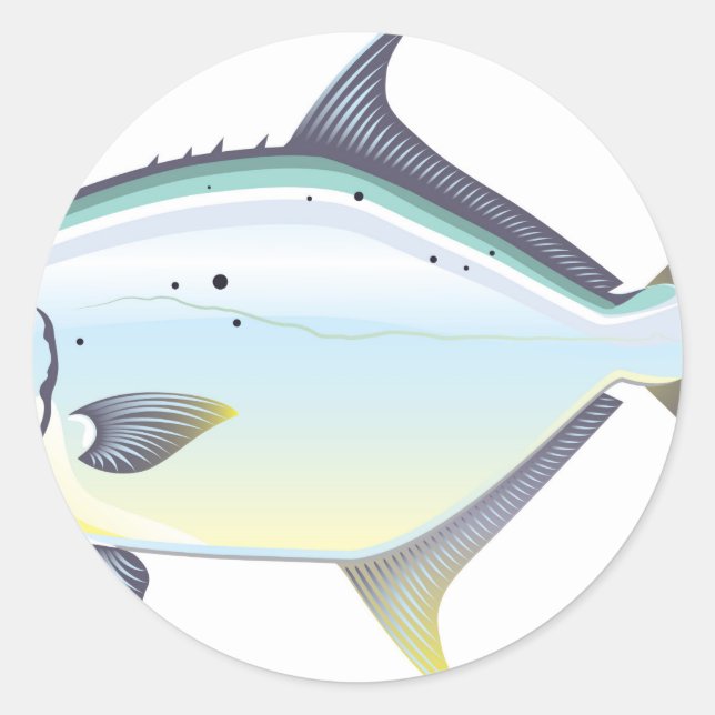 Pompano Florida fish vector illustration Classic Round Sticker (Front)