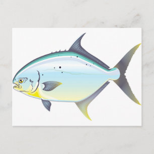 Pompano Florida fish vector illustration Postcard