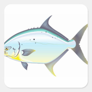 Pompano Florida fish vector illustration Square Sticker