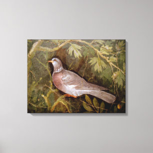 POMPEII COLLECTION / DOVE IN THE GARDEN CANVAS PRINT