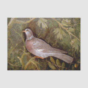 POMPEII COLLECTION / DOVE IN THE GARDEN TISSUE PAPER